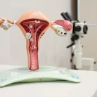 Медицинский центр ГлавВрач на улице Ленина Фотография 2
