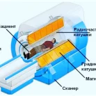 Медицинский центр Мирамедик+ на Заводской улице Фотография 7